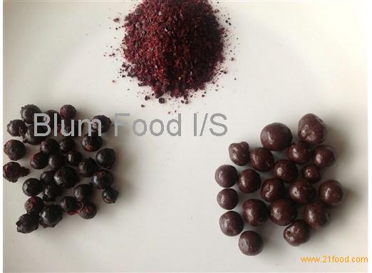 Blackcurrant Extract /Black currant P.E. / Ribes nigrum Extract / Blackcurrant extract powder