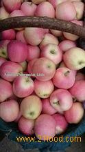 Grade A red Fiji apple for sell