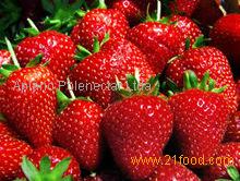 2015 New Crop IQF Frozen Strawberry