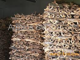 Grade A Norwegian StockFish