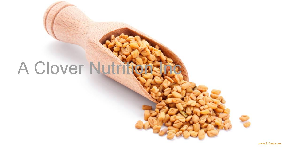 Fenugreek Seed powder