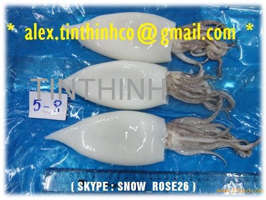 FROZEN SQUID LOLIGO WHOLE CLEAN / FLOWER CUT / TENTACLE / RING / TUBE