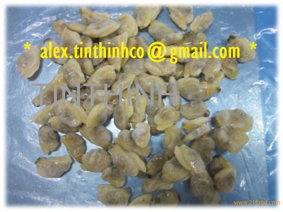 FROZEN COOKED CLAM MEAT / SCALLOP / MUSSELS / SNAIL / SURIMI