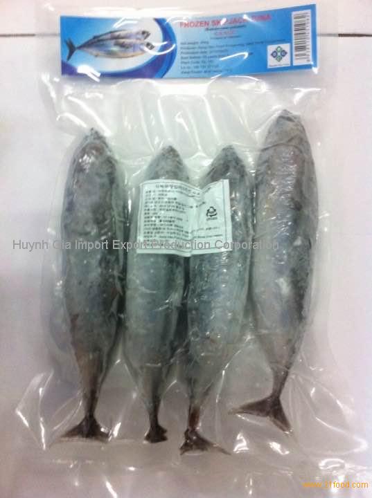 FROZEN TUNA FISH