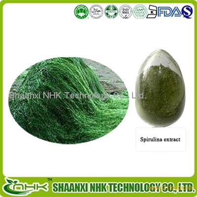 Natural spirulina extract, organic spirulina powder