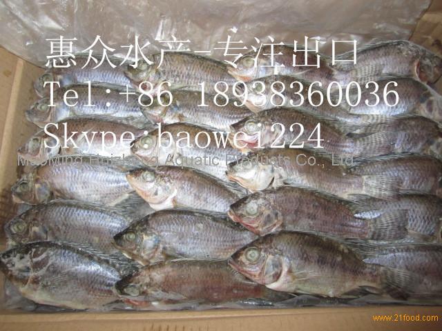 is great value tilapia from china