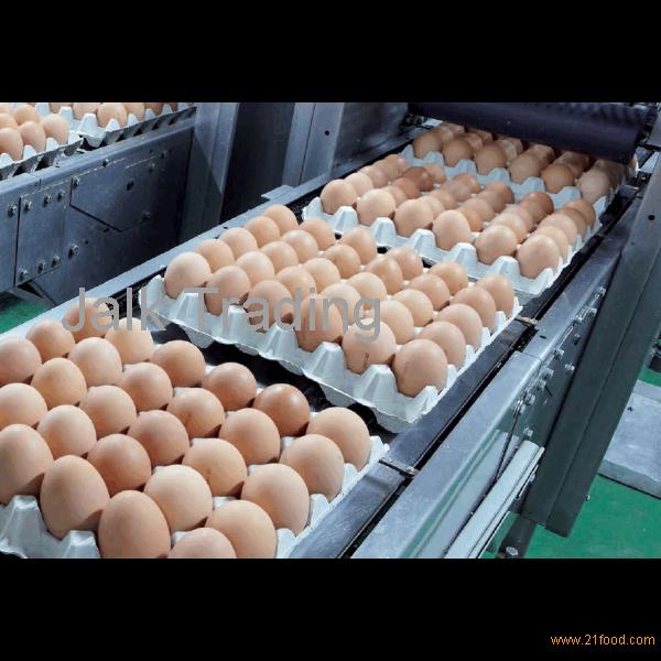 FRESH CHICKEN TABLE EGGS