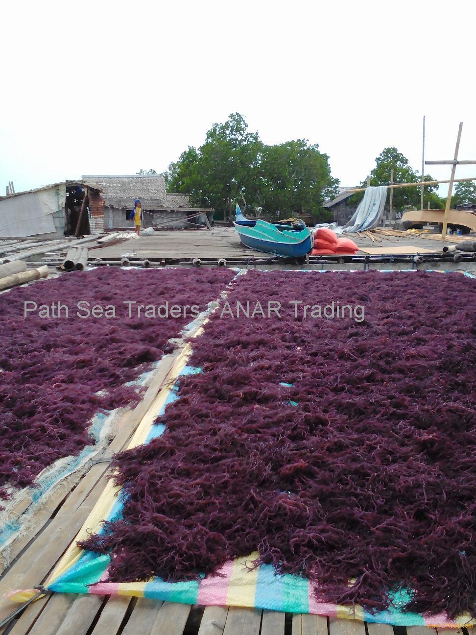 dried red seaweed