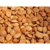 Apricot Kernel, Best Quality Apricot Kernel, Grade A Apricot Kernel