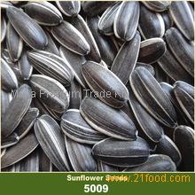 sunflower seeds 5009,Hungary price supplier - 21food