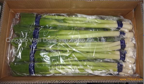 garlic bolt(garlic sprout),China price supplier - 21food