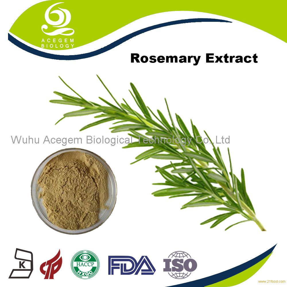 eu-standard-of-rosemary-extract-20-liquid-china-acegem-price-supplier