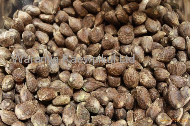 palm kernel shell for sale with low price