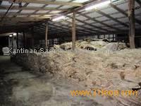 Wet Salted Cow Hide
