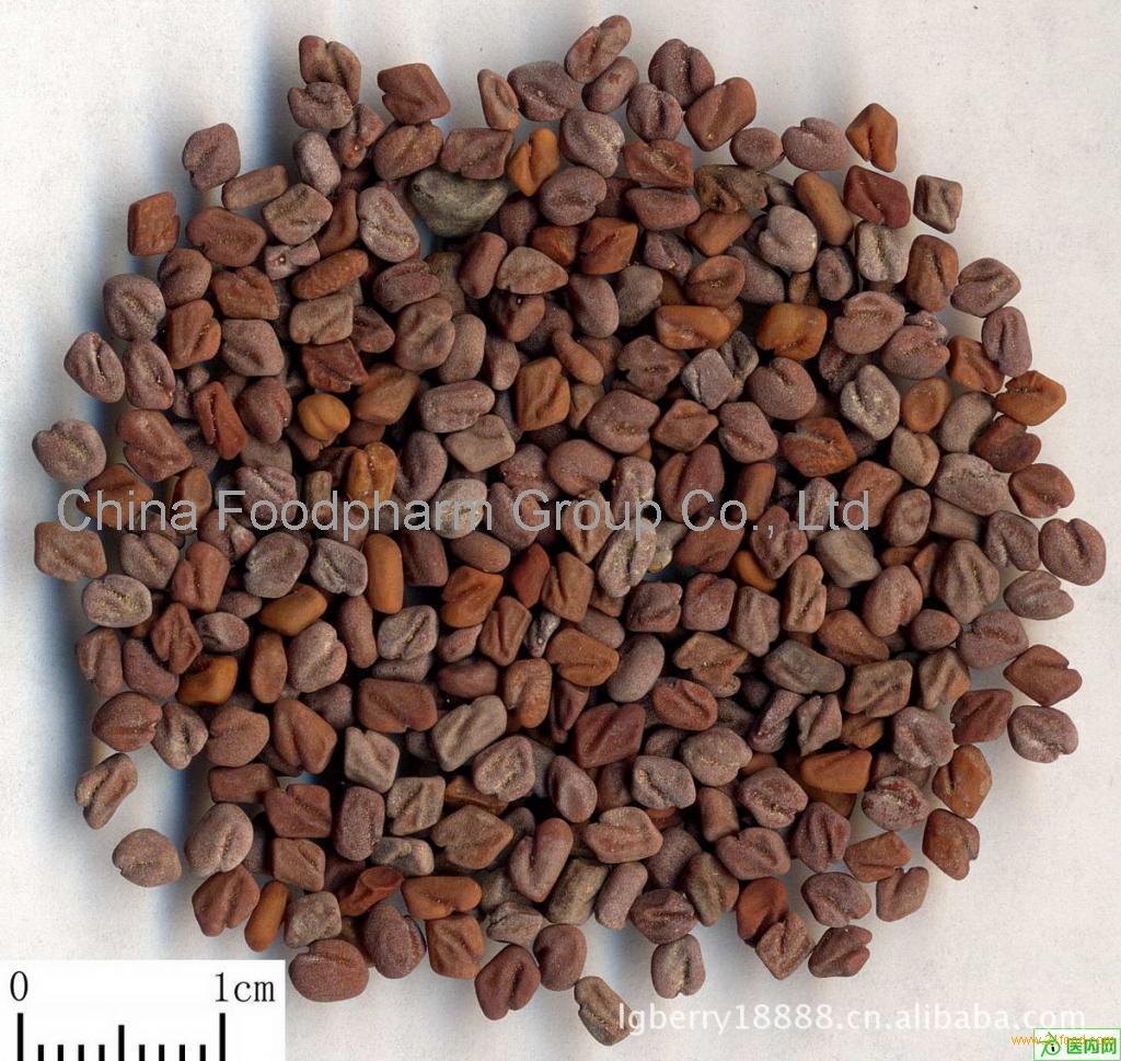 60% 4-Hydroxyisoleucine Fenugreek Seed extract