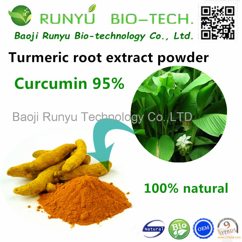 turmeric root extract powder curcumin