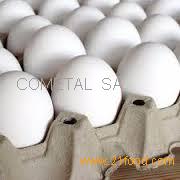 High Quality Fresh Table Chicken Egg White and Brown Size 40g-50g-60g-65g-70g