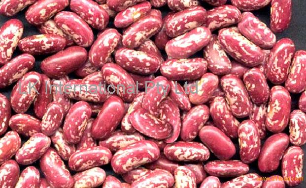 red-speckled-kidney-beans-south-africa-red-speckled-kidney-beans-price