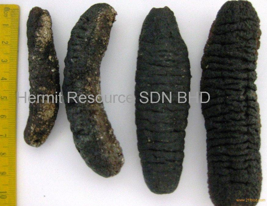 Dried Sea Cucumber products,Malaysia Dried Sea Cucumber ...