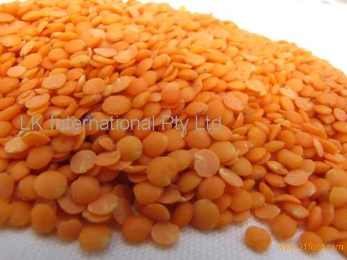High Quality Lentiles/Red Lentiles/Green lentiles VERY HIGH GRADE Hot Sales High quality