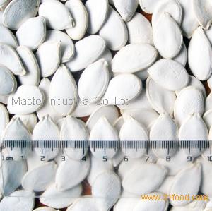 Inshell Snow White Pumpkinseed 14 cm