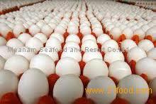 Fresh Chicken Table Eggs & Fertilized Hatching Eggs / Fresh Hatching Eggs