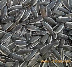High quality Sunflower Seeds