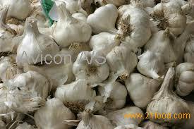 Fresh Ginger | Carrot and Fresh Garlic Clove