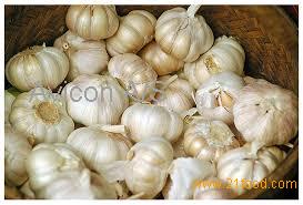 Brand new granulated garlic with great price