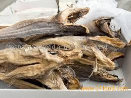 STOCKFISH - DRIED WHOLE FISH - ICELANDIC - COD/TUSK/SKATE