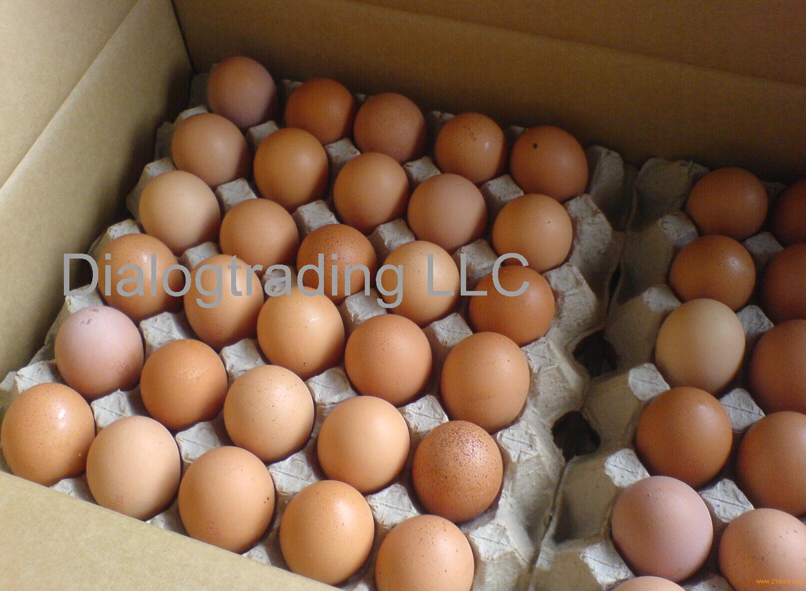Premium Quality Table HALAL Chicken Eggs