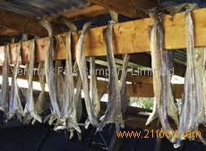 Stockfish Dried fish with caviar NoScale. 2.2 lbs or 1kg Taranka. Vacuum  pack.