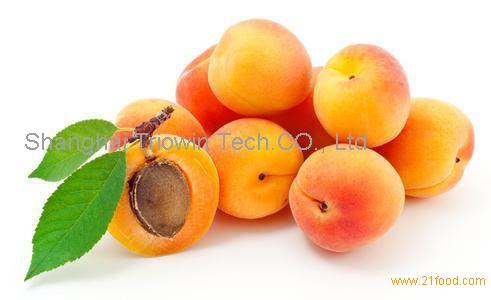 Turnkey Industrial Solution for Apricot, plum, peach juice processing line