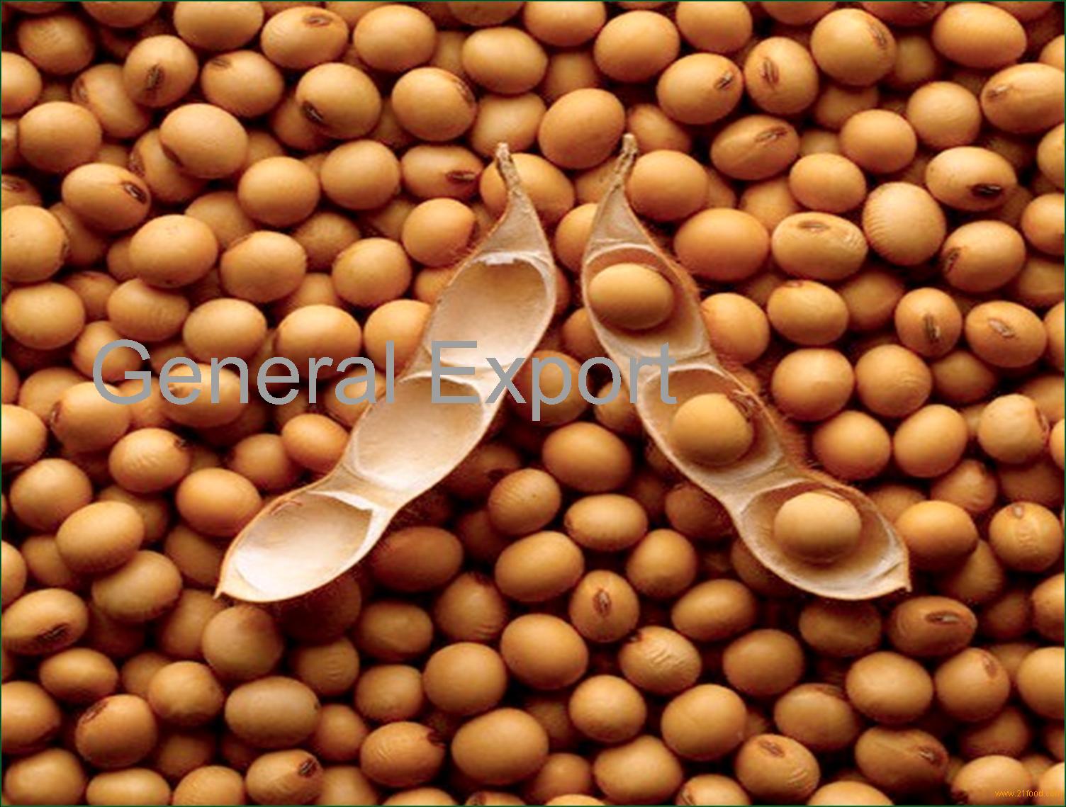 soya beans