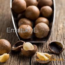 Macadamia Nuts and Nuts