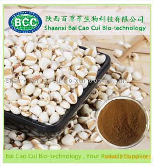 Natural High quality Coix Lacryma-Jobi Seed Extract/Ma-yuen