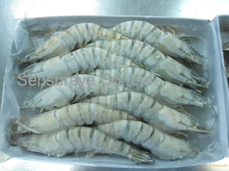White Shrimps Frozen Black Tiger Shrimps Frozen Vannamei Shrimps
