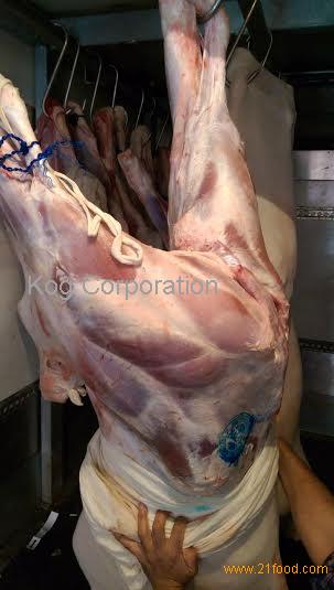 Freshly Chilled @ -15 Degrees C. Halal Veal Carcasses whole 60~110 kg sizes