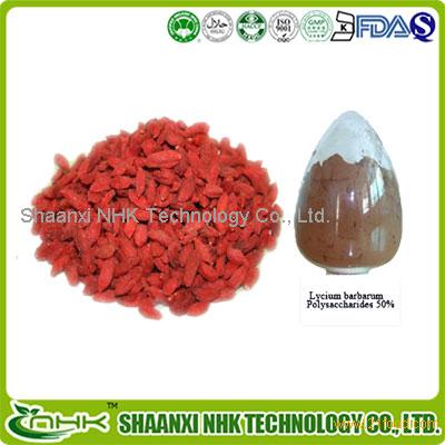 100% Natural dried goji berry powder, wolfberry extract