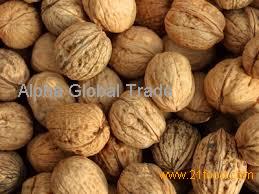 walnut in shell, walnut kernel