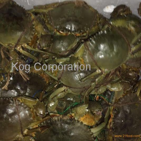 We sell Live Crabs / Green Mud Crabs / Live Crabs 110~1100 grams from ...