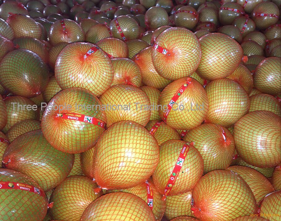 hot sales 2016 New crop Fresh Honey Pomelo, fresh grapefruits, shaddock, honey pummelo, pomelu