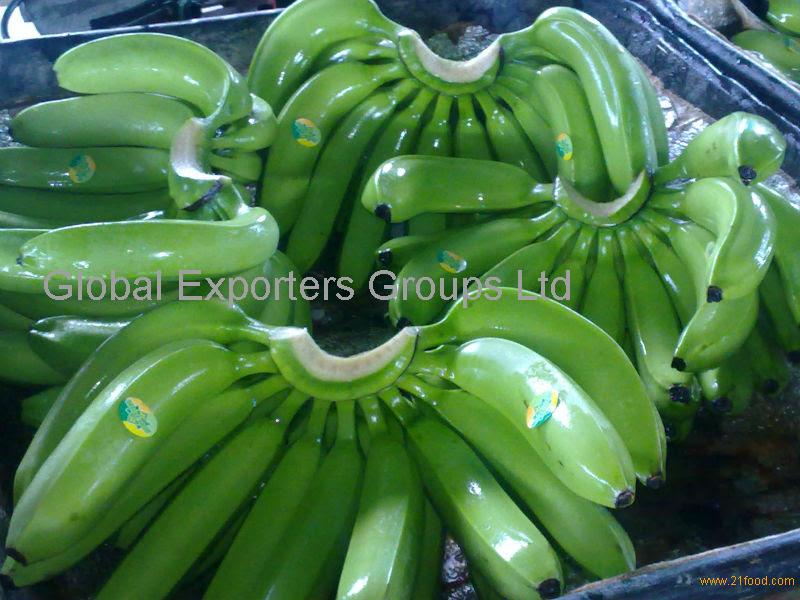 Cavendish Banana products,Malaysia Cavendish Banana supplier