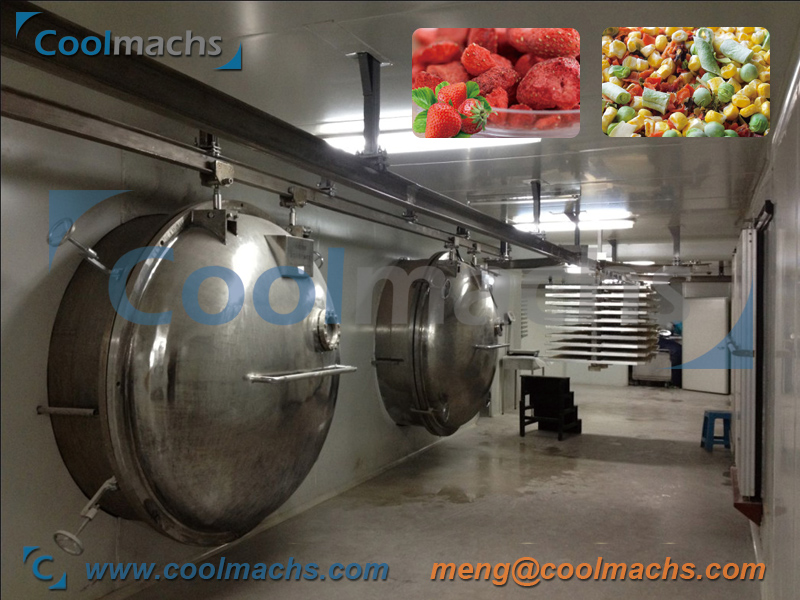 Vacuum freeze dryer for food