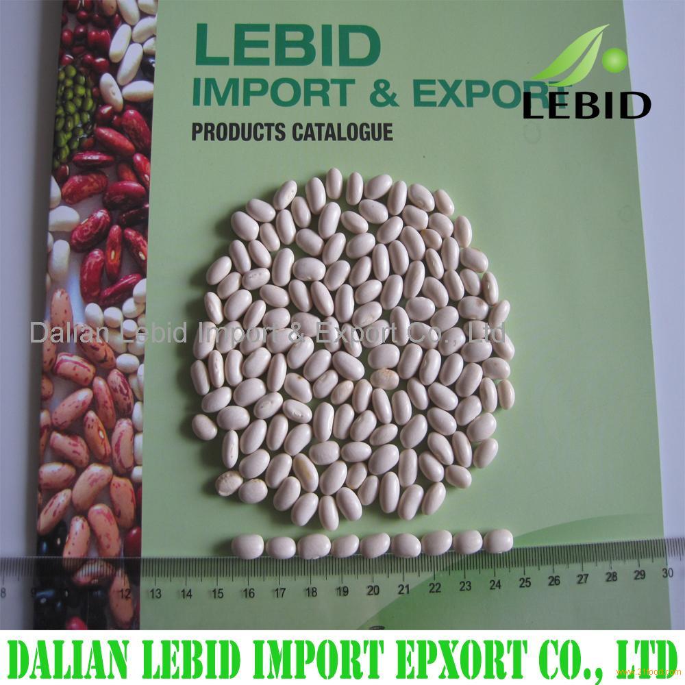 2016 Crop white kidney beans baishake type
