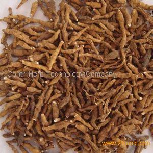 Top Manufacturer Gymnema Extract Powder 75% Gymnemic Acid