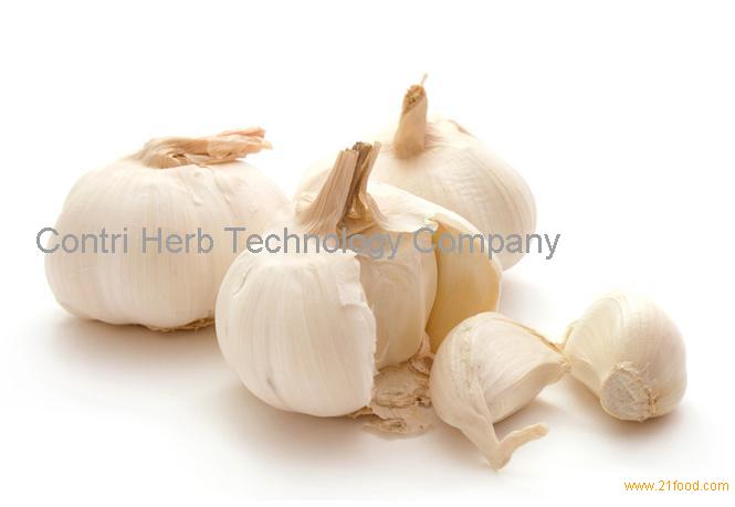 Wholesale Garlic P. E. Extract Powder, Low Price