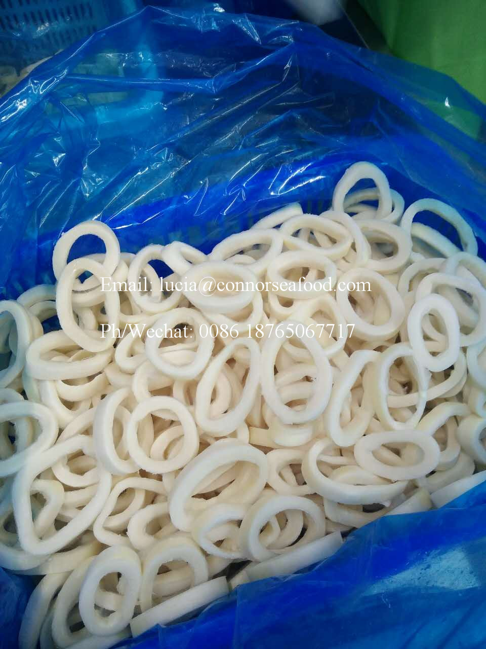 Frozen Squid Ring,China Connor price supplier - 21food