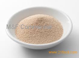 Instant Dry Yeast