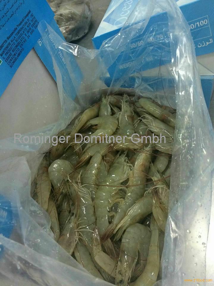 IQF HLSO/HOSO Frozen Penaeus Vannamei Shrimp,Austria VANNAMEI SHRIMP ...